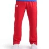 Arena Team Panel Pant -Swim Gear Sales 004910 400 team pant panel 001 o