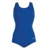 Dolfin Conservative Lap Suit -Swim Gear Sales dolfin conservative lap suit royal 3
